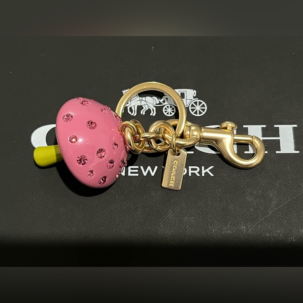 Coach X Observed By Us Mushroom Bag Charm